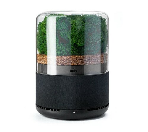 Eco-Friendly Air Purifier with Natural Filters