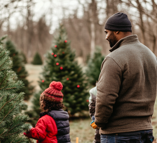 Choosing a Fresh Holiday Tree