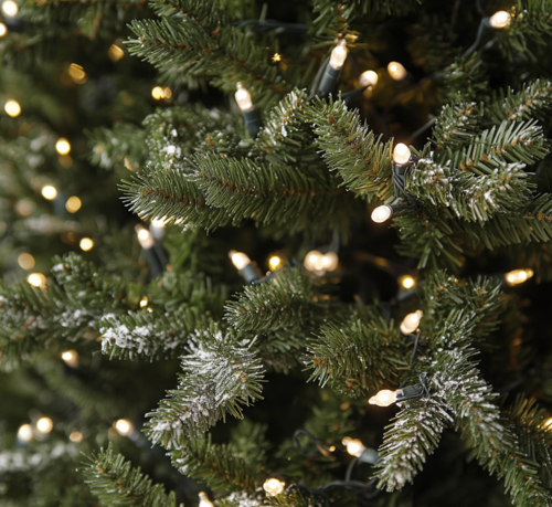 Close-Up of Lit Christmas Tree Branches