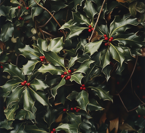 Classic Holly with Red Berries