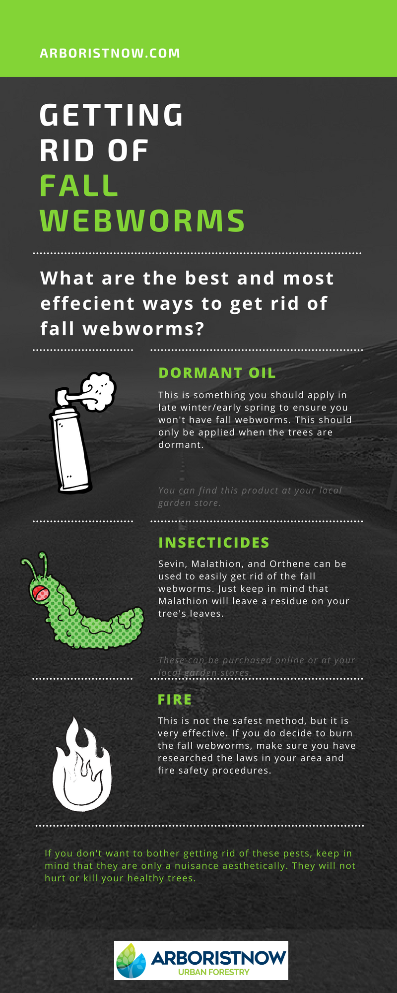 Effective Fall Webworm Control Tips