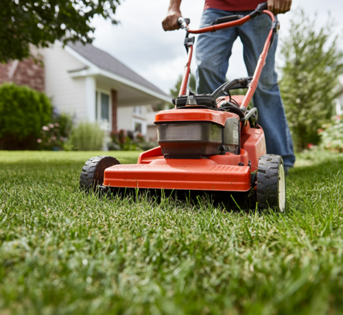 Homeowner Mowing Lawn with a Push Mower