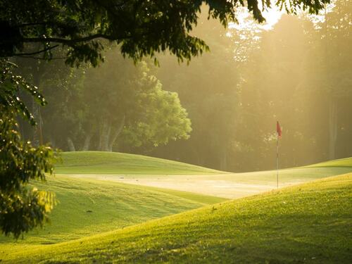 Tree Care for a Picturesque Golf Course