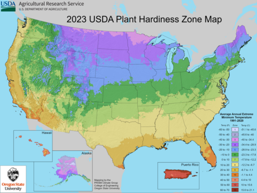 2023 USDA Plant Hardiness Zone Map