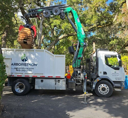 Efficient Log and Slab Transport with Grapple Truck