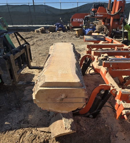 Slab Milling Live Oak At Yard 