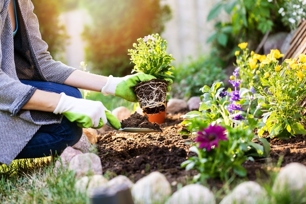 To-Do List: March Gardening