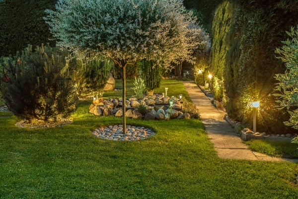 Utilizing Landscaping Lighting for Your Trees