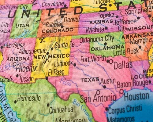 Discover the Unique Stories Behind America’s State Trees and Flowers Part 4: The Southwest