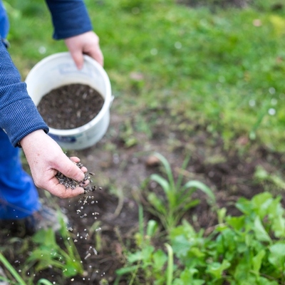 7 Best Outdoor Composters for Your Garden in 2024
