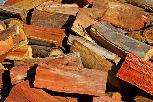 eucalyptus wood