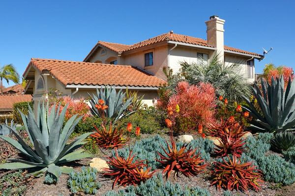 What is Xeriscaping?