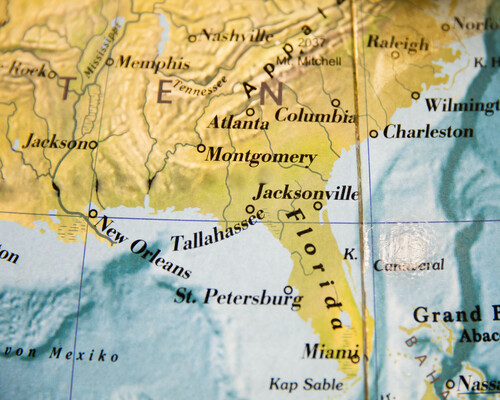 Discover the Unique Stories Behind America’s State Trees and Flowers Part 2: The Southeast