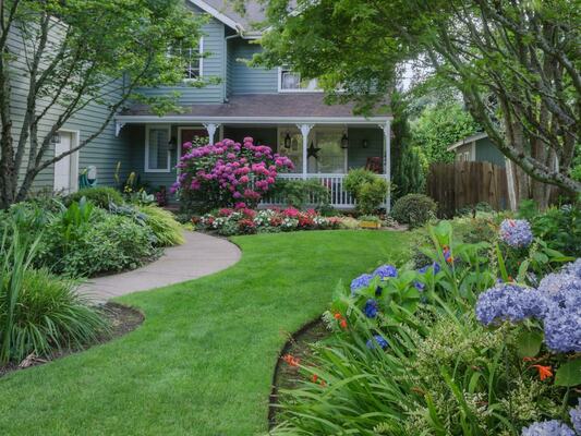 11 Essential Tips to Keep Your Lawn Green and Healthy