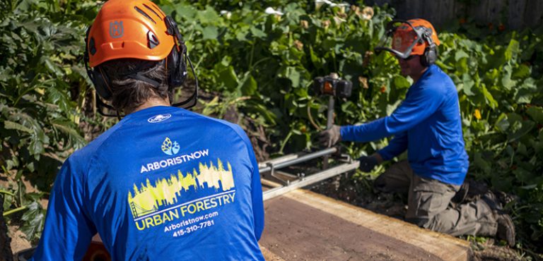 Portable Sawmill Safety: Essential Tips and Precautions