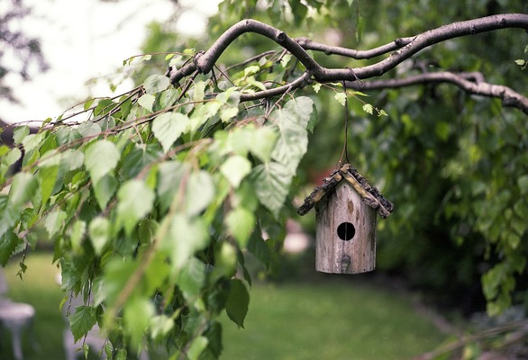 The Dos and Don’ts of Decorating Your Trees