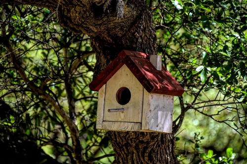 Birdhouse Decorating Tree 2 Birdhouse Decorating Tree 2