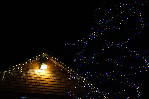 Christmas Holiday Lights In Tree Christmas Holiday Lights In Tree