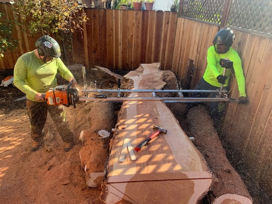 Unlocking the Benefits of Green Timber: Sustainable Solutions from Arborist Now
