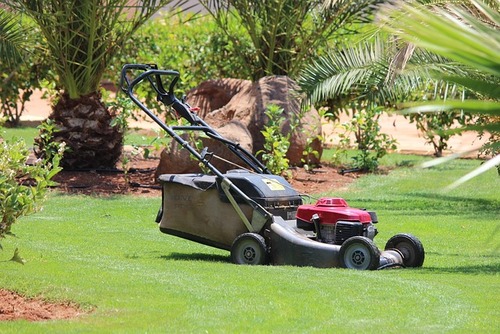 Lawnmower Winter Lawn Care Lawnmower Winter Lawn Care