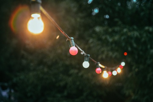 Lights Strung Up In Trees Lights Strung Up In Trees
