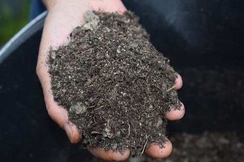 Pile of Mulch from Grinding Tree Stump or Limbs