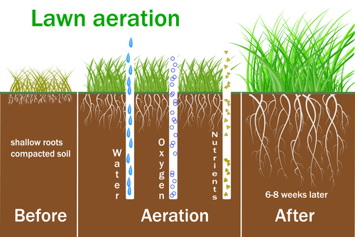 Soil Aeration Soil Aeration