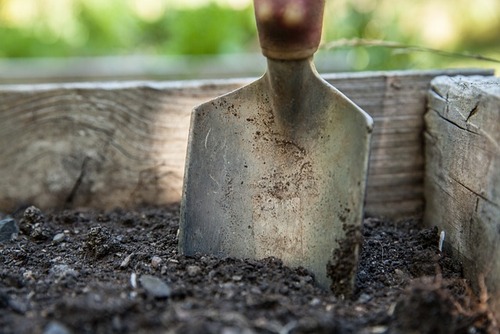 Soil Soil
