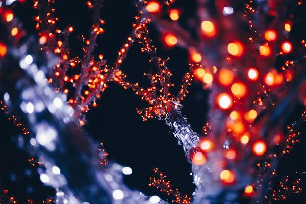 Wrapping Lights Around Your Trees: The Dos and Don’ts