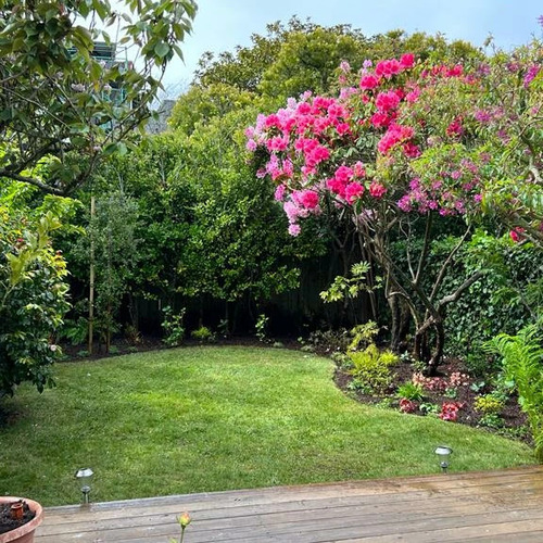 Well Maintained Tree And Yard Sf Well Maintained Tree And Yard Sf