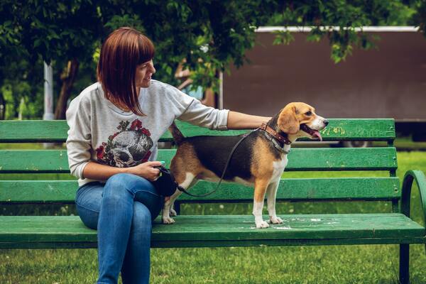Our Top 5 Tips for Landscaping a Dog Park