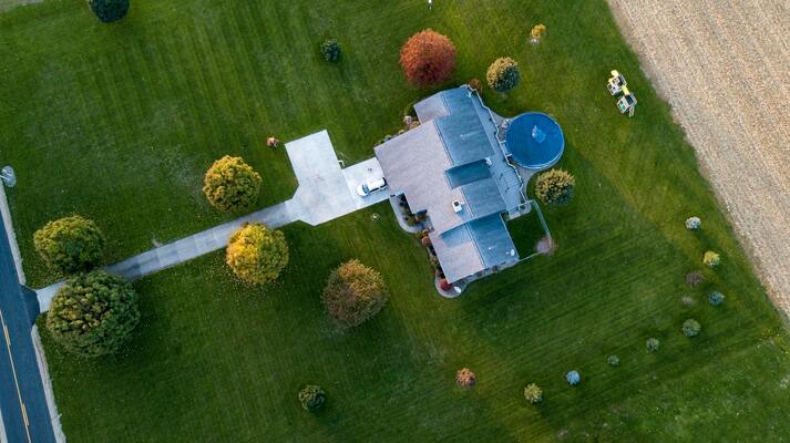 How to Incorporate More Trees Into Your Landscaping