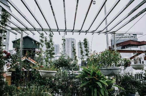 rooftop garden
