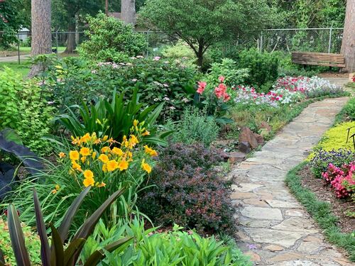 Vibrant Yellow and Red Flower Garden