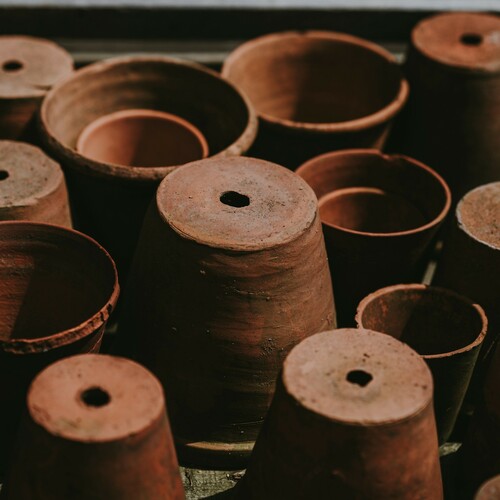 plant pots