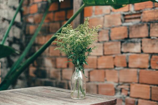 What to Do with Empty Outdoor Space on Your Commercial Property