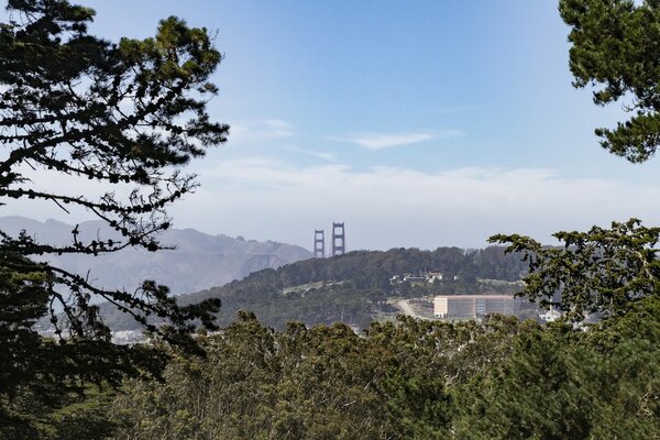 Preserving the History of Buena Vista Park