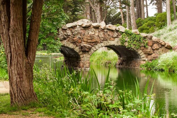 Bringing New Life to Golden Gate Park