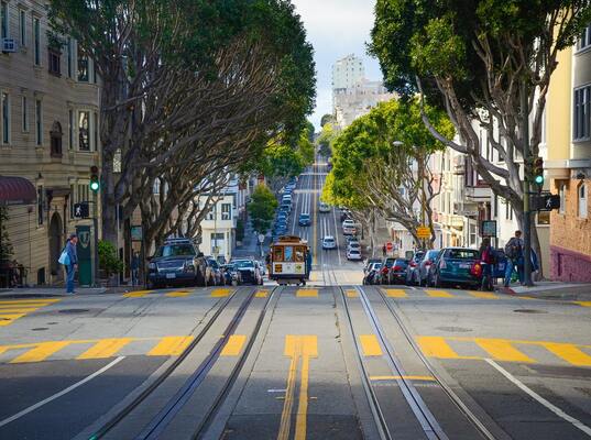 Urban Trees: Boosting Economy & Wildlife in Cities (2024)