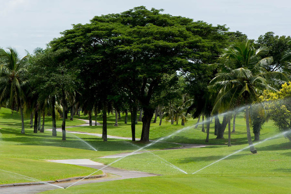 Best Summer Irrigation Strategies