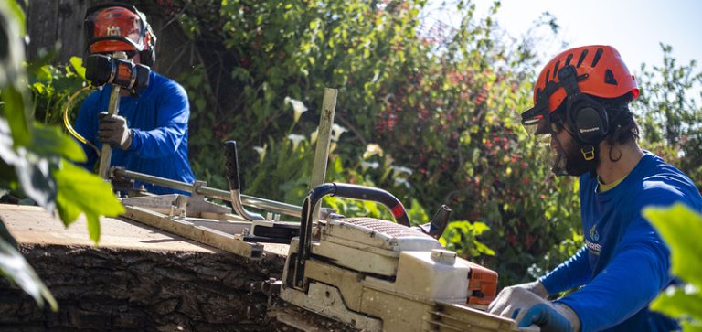 Portable Sawmill Basics: A Beginner’s Guide