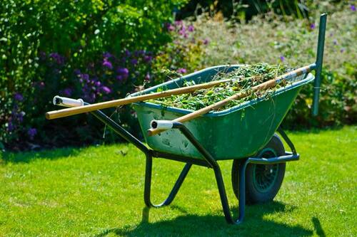 Going Barefoot This Summer? Focus on Yard Cleanup First!