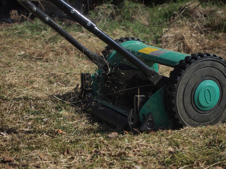 How to Mow Safely Underneath Your Trees