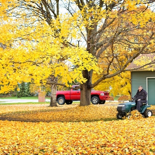 Fall Leaves 3796581 1280 (1)