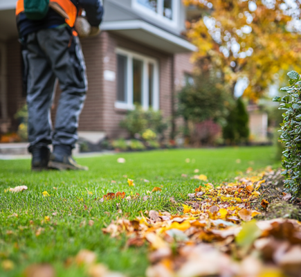 How to Get Your Lawn and Garden Ready for Fall