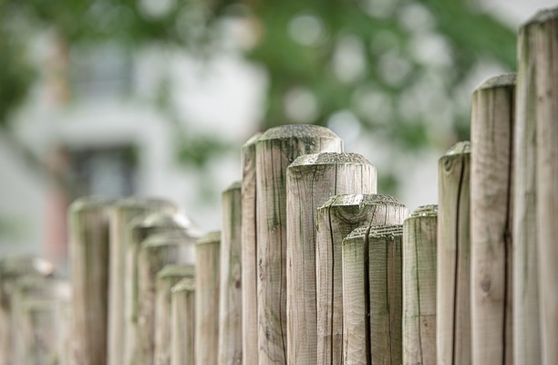 How to Landscape Your Property Lines