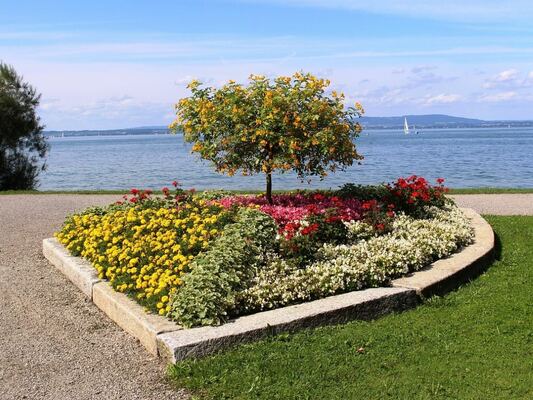 How to Landscape Around Your Trees