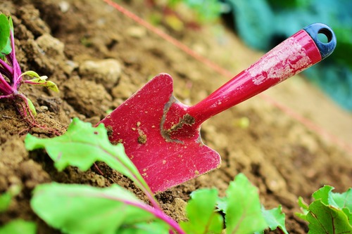 Tree Service Equipment - Red Shovel on Dirt Ground