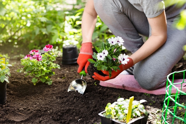 5 Critical Landscaping Mistakes to Avoid for a Thriving Yard