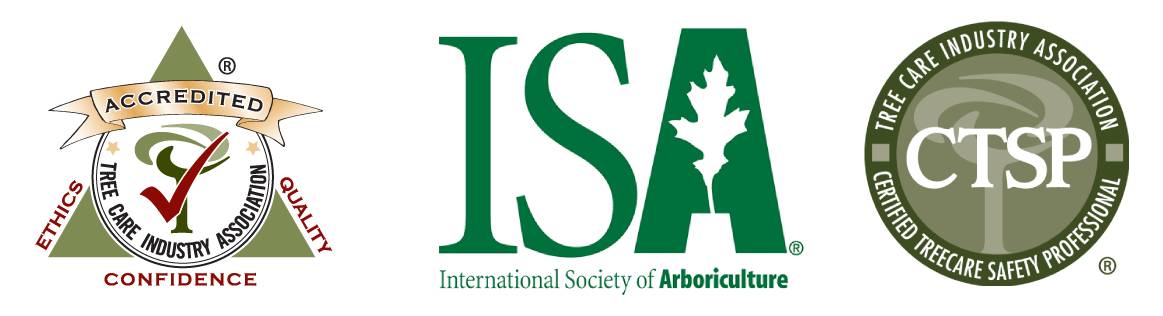 ARBORIST NOW logo
